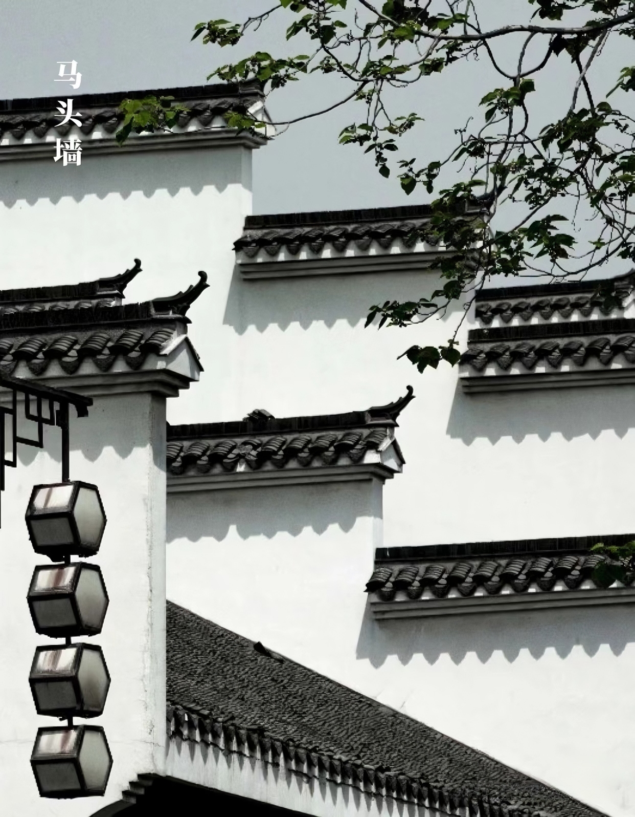 徽派建筑—白墙黛瓦之美