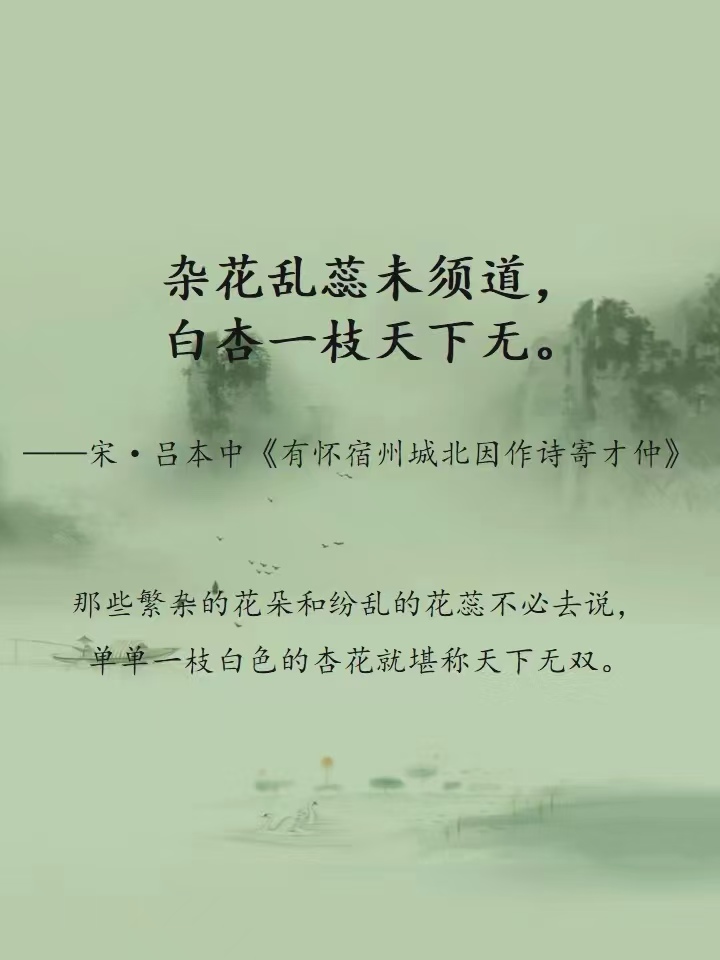 诗词中的安徽—宿州篇